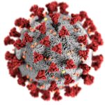 image of virus cell